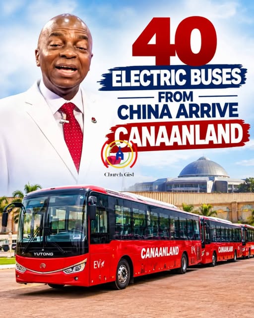 winners-buses